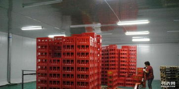 大型饮料厂设备齐全，急寻合作伙伴 出租转让，中西餐饮皆宜